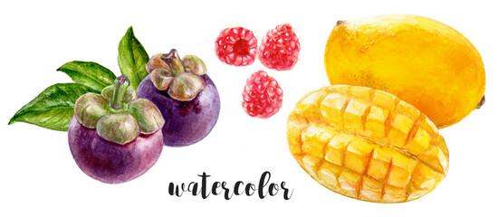 Watercolor Fruits are vibrant illustrations of mangosteen, raspberries, and mango
