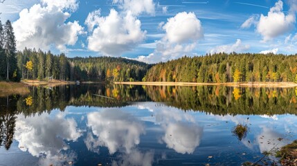 Fototapeta premium Reflective Serenity of a Forest Lake