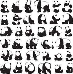cute panda Vector illustration isolated on colorful Set of cute big pandas in different poses. flat vector illustration design