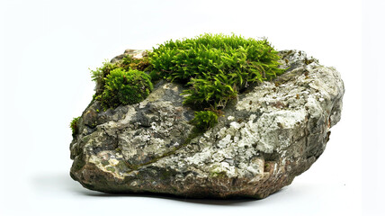 Tranquil Garden Walk Soil Stepping Stones On White Background. tranquil garden, garden walk, soil stepping stones, white background, garden path, stepping stones, serene garden, garden design,