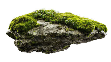 Tranquil Garden Walk Soil Stepping Stones On White Background. tranquil garden, garden walk, soil stepping stones, white background, garden path, stepping stones, serene garden, garden design,