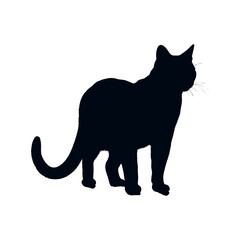 cat silhouette