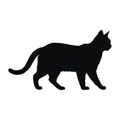 cat silhouette