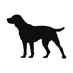 silhouette of a dog