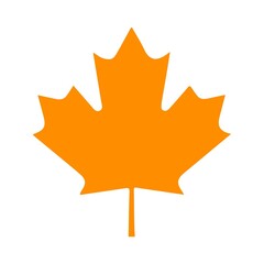 Leaf clip art design on plain white transparent isolated background for card, shirt, hoodie, sweatshirt, apparel, tag, mug, icon, poster or badge