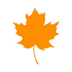 Leaf clip art design on plain white transparent isolated background for card, shirt, hoodie, sweatshirt, apparel, tag, mug, icon, poster or badge