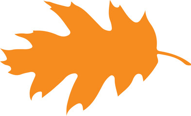 Leaf clip art design on plain white transparent isolated background for card, shirt, hoodie, sweatshirt, apparel, tag, mug, icon, poster or badge