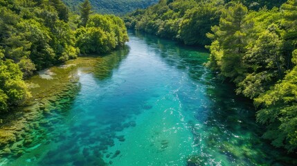 Fototapeta premium A pristine river winding through a dense forest, with crystal-clear water reflecting the surrounding greenery AI generated