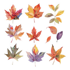 Set of 9 watercolor illustrations of autumn leaves in various colors and shapes. Perfect for fall designs, projects, and crafts.