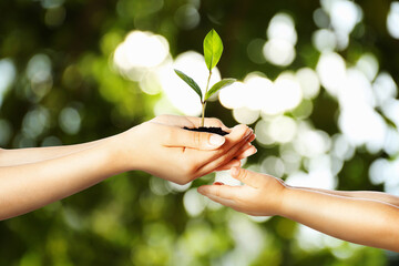 Woman passing soil with green plant to her child against blurred background. Environment protection