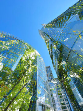 Environment. Modern buildings and trees, double exposure