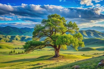 Fototapeta premium Majestic tree stands tall amidst serene blue grass landscape, surrounded by rolling hills and distant mountains, in Terelj National Park Mongolia.