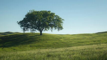 Fototapeta premium Design a peaceful landscape featuring a solitary tree standing proudly in a meadow of lush green grass, capturing a moment of quiet contemplation.