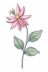 beautiful colorful illustration of columbine flower