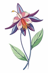 beautiful colorful illustration of columbine flower