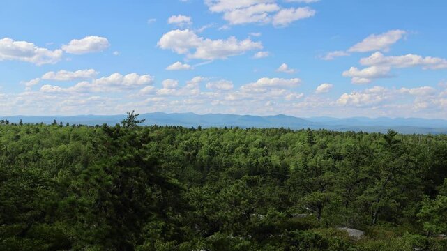 panning across catskill mountains forest from minnewaska state park (beautiful blue mountain vista overlook view with pine trees) hiking in shawangunks gunks hills