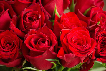 赤い薔薇