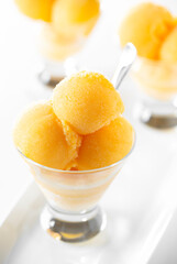 Chilled Summer Mango Daiquiri Sorbet