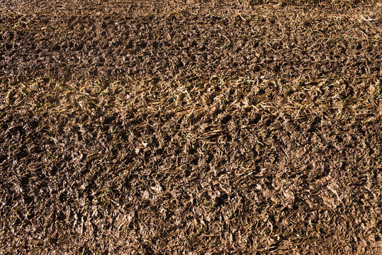 Patterns on a frozen dirt road
