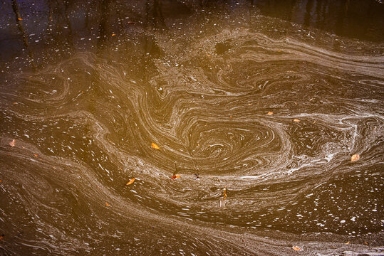Swirling patterns of pollen in an eddy in a stream in Durham, North Carolina