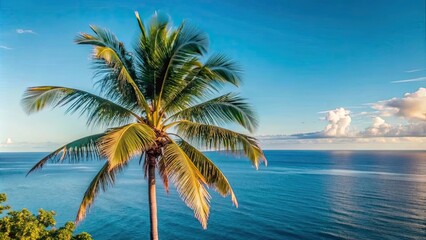 Fototapeta premium render of a tropical coconut palm tree overlooking a serene sea view, coconut palm, tropical, render, beach, ocean