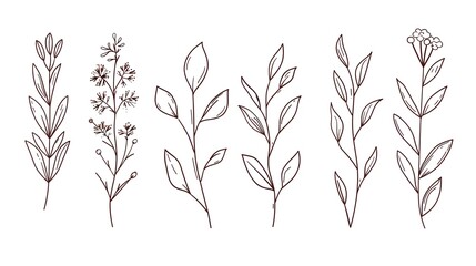Trendy floral branch and minimalist flowers for logo design