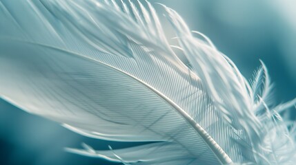 Fototapeta premium Macro image of one large white feather. Depth of field of lines, abstract summer nature background