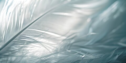 Obraz premium Macro image of one large white feather. Depth of field of lines, abstract summer nature background