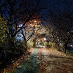 A walk that you can see and feel in the evening