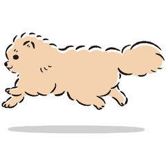 走るポメラニアンのかわいい手描きイラスト