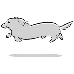 走るダックスフンドのかわいい手描きイラスト
