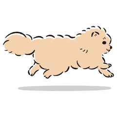 走るポメラニアンのかわいい手描きイラスト
