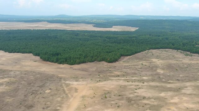 Bledowska Desert aka Polish Sahara aka Pustynia Bledowska. The only desert in Poland and the largest inland area of loose sand in Europe. Silesian Highlands in the Lesser Poland Voivodeship.
