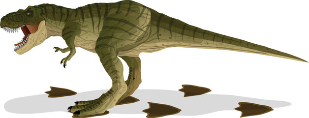 Obraz premium Cartoon Tyrannosaurus (T-rex) green color natural camouflage pattern are tiptoeing walk Footprints isolated on white background