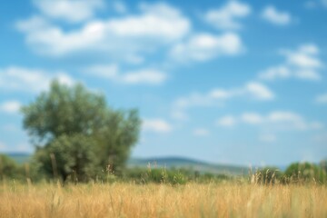 Obraz premium Landscape with blurred blue sky background