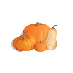 pumpkinsAutumn composition with colored white and orange pumpkins. Postcard or banner. Harvest Festival, All Saints Day, Samhain. Vector illustration.