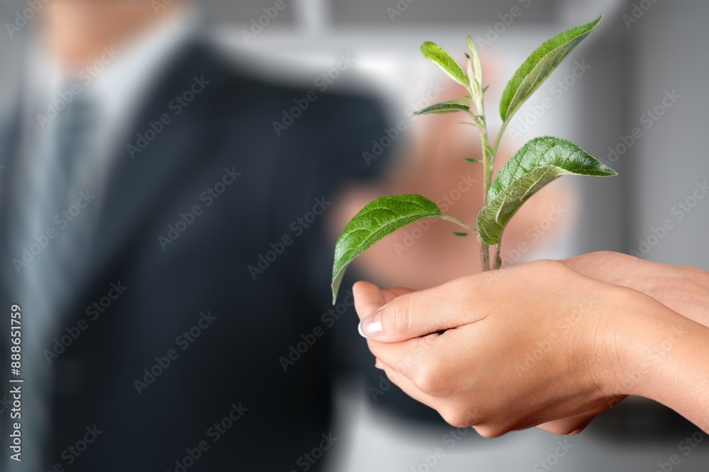 Canvas Prints People hands together hold green plant