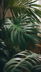 Fototapeta premium Close-up of lush green tropical leaves with sunlight filtering through, creating a serene and natural atmosphere. A vibrant tropical foliage background featuring various green leaves and plants.