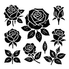 rose set vector illustration isolated