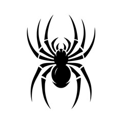 spider silhouette vector illustration isolated