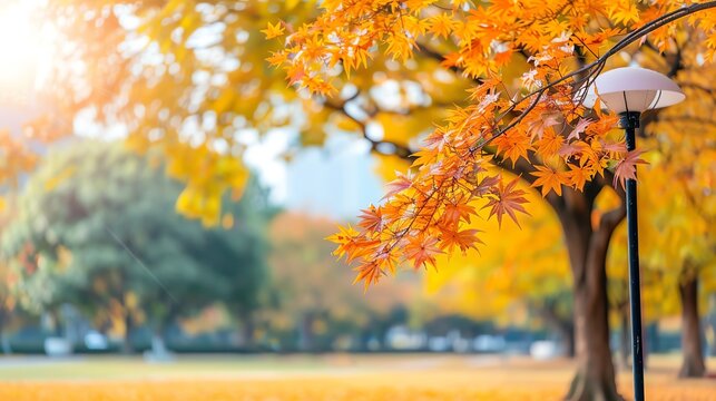 Breezy and brisk autumn weather setting in, Cooling, Breezy, Brisk