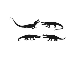 Crocodile silhouette.