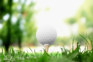 Golf clubs and balls on green lawn at course