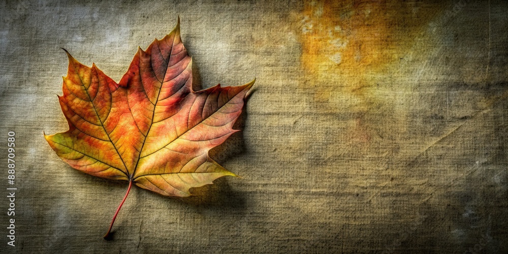 Poster Autumn colored fall leaf isolated on background overlay texture , leaves, foliage, seasonal, nature, autumn, orange, red