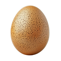 PNG image of Brown chicken egg