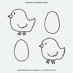 Hand Drawn chicks and chicken eggs Illustration for Coloring Books