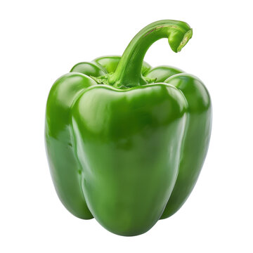 A close-up of a fresh, green bell pepper with a smooth, glossy surface, and a curved stem.