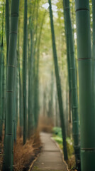 a path that is lined with bamboo trees in the forest