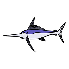 sailfish icon hand drawn color vector illustration
