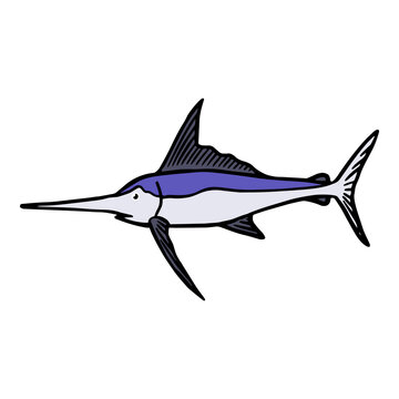 recommend clip art: sailfish icon hand drawn color vector illustration
